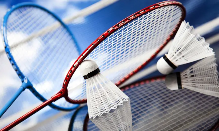 about badminton in english