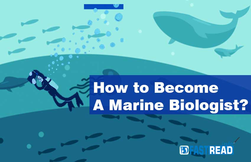 how-to-become-a-marine-biologist-career-salary-more-fastread-info