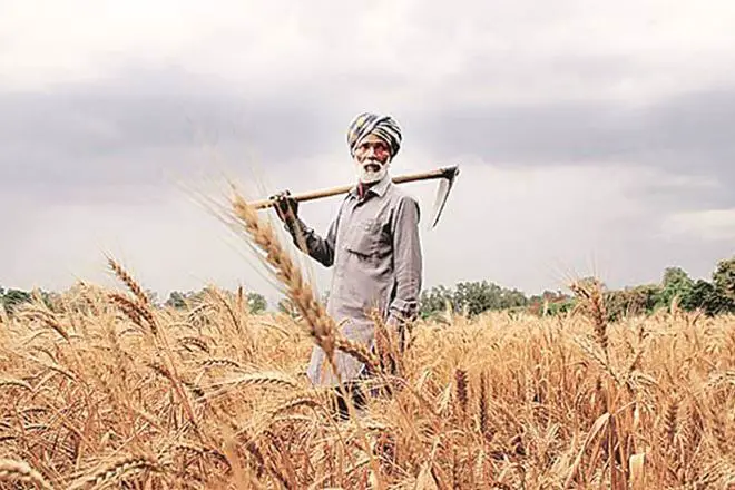 indian-farmer-essay