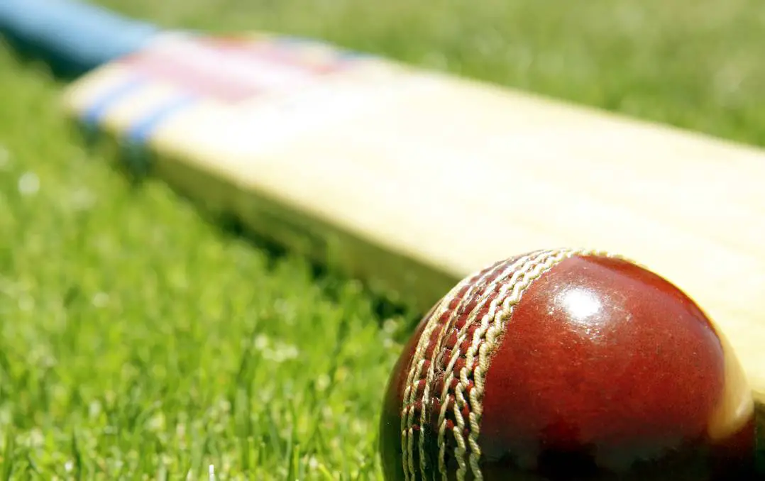 Cricket essay