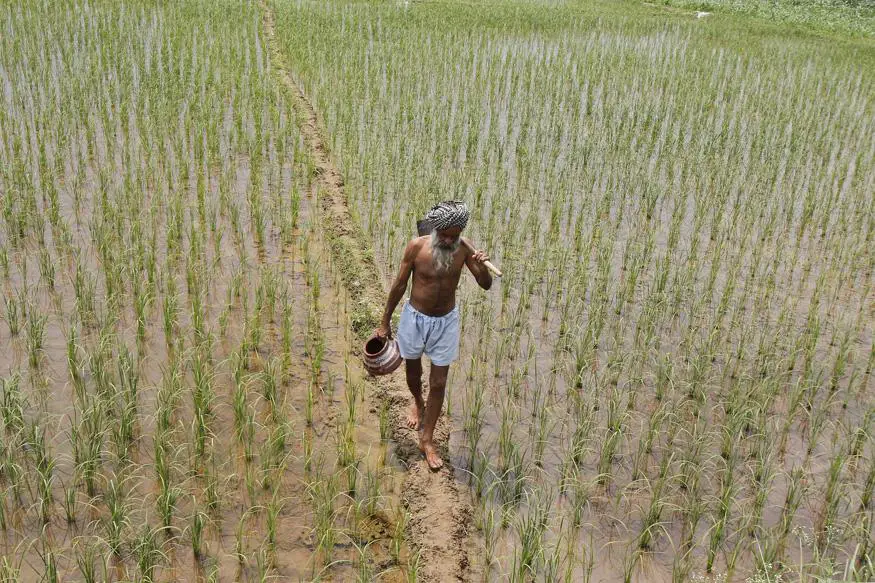 Essay on Indian Farmer