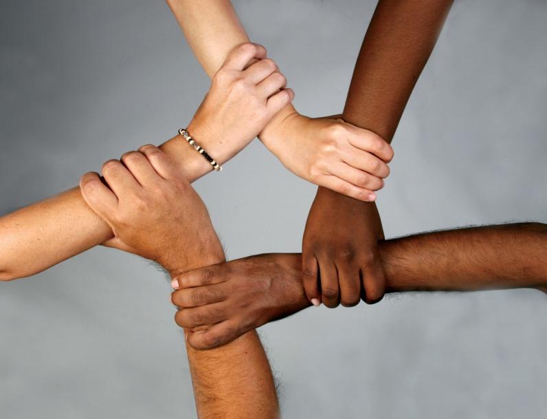 unity in diversity essay