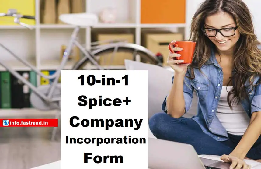 10-in-1 Spice+ Online