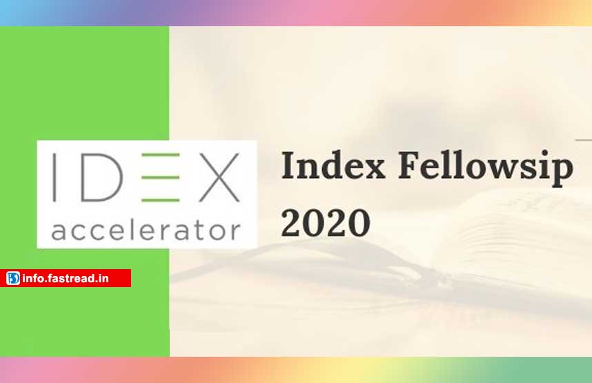 IDEX Fellowship 2020 