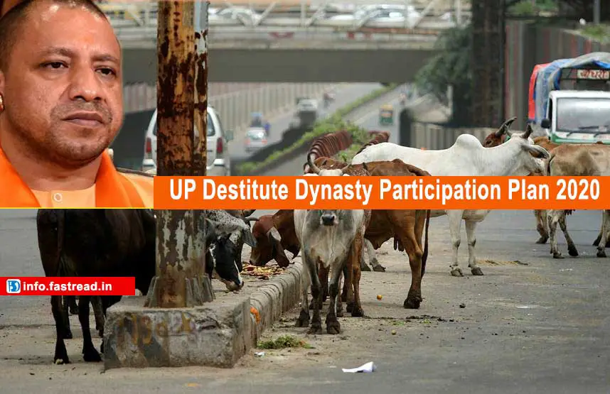 Destitute Dynasty Participation Plan 2020