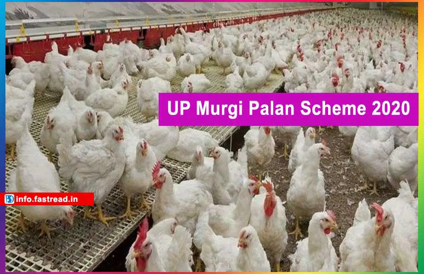 UP Murgi Palan Scheme 2020