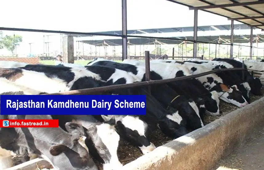 rajasthan Kamdhenu Dairy Scheme