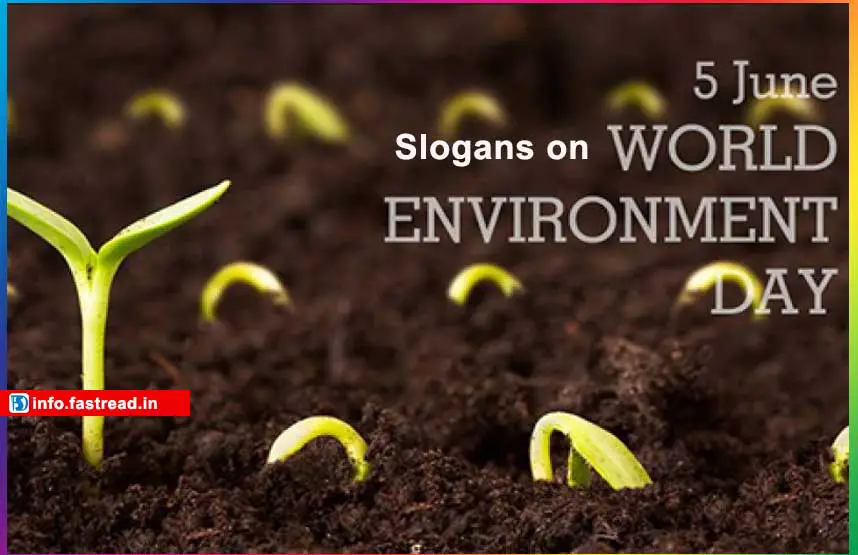 Slogans on World Environment Day