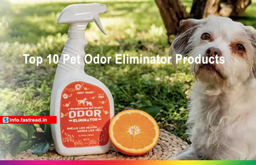 Top 10 Pet Odor Eliminator Products