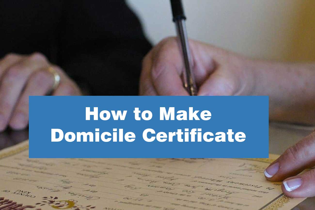 how-to-apply-for-domicile-certificate-in-punjab-pakistan