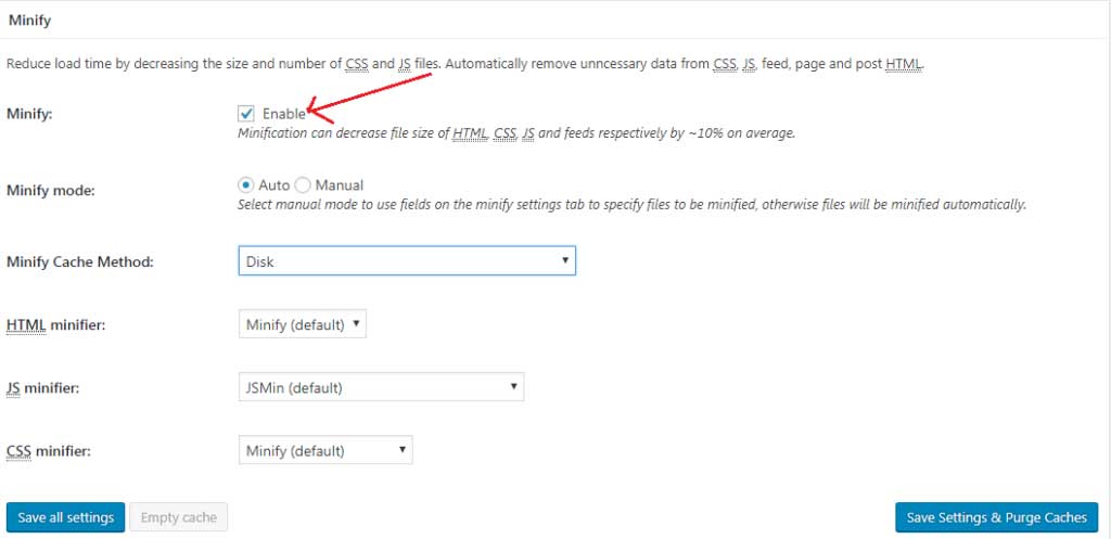 Minify-Setting-in-w3-cache